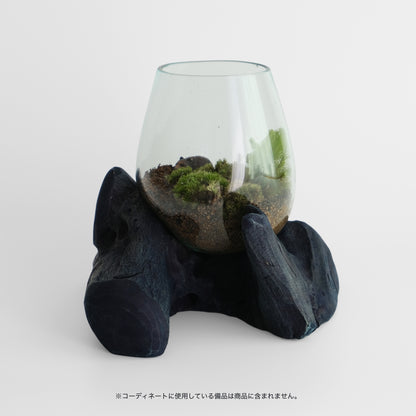 Indigo-dyed driftwood and terrarium (glass bowl)