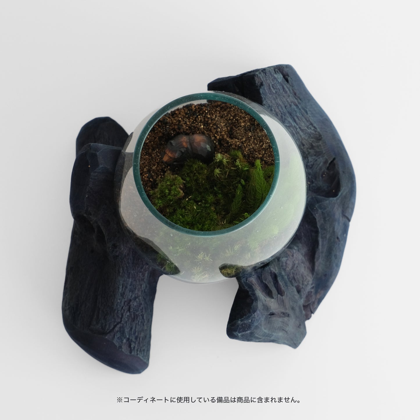 Indigo-dyed driftwood and terrarium (glass bowl)