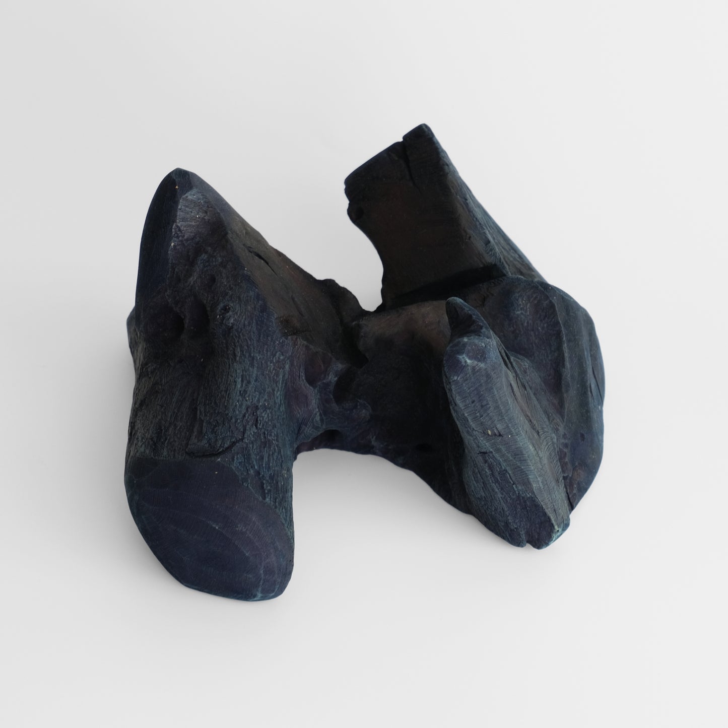 Indigo-dyed driftwood and terrarium (glass bowl)
