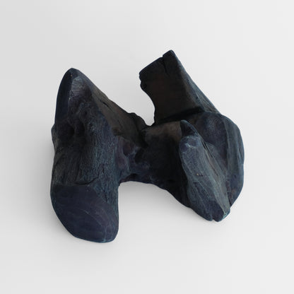 Indigo-dyed driftwood and terrarium (glass bowl)