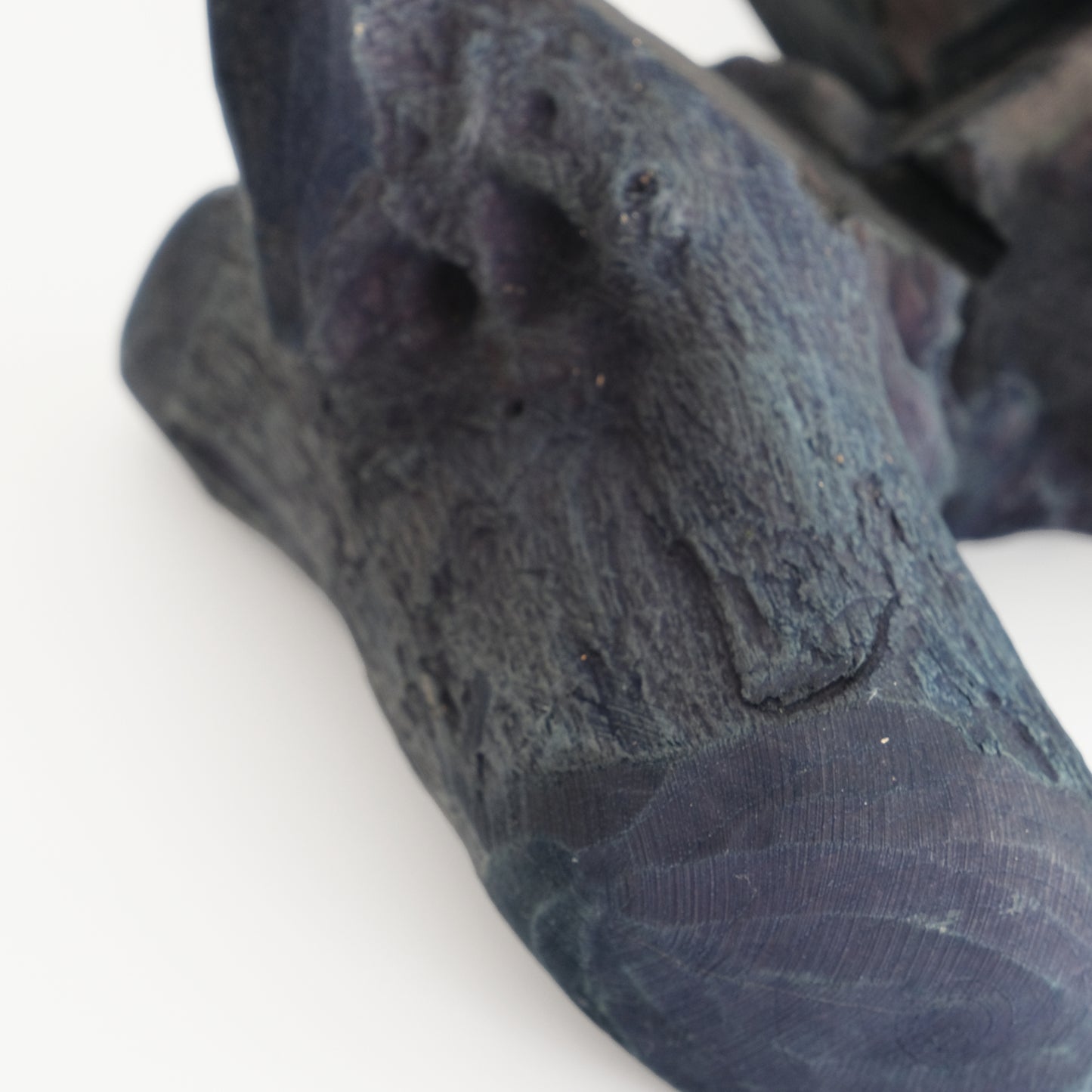 Indigo-dyed driftwood and terrarium (glass bowl)