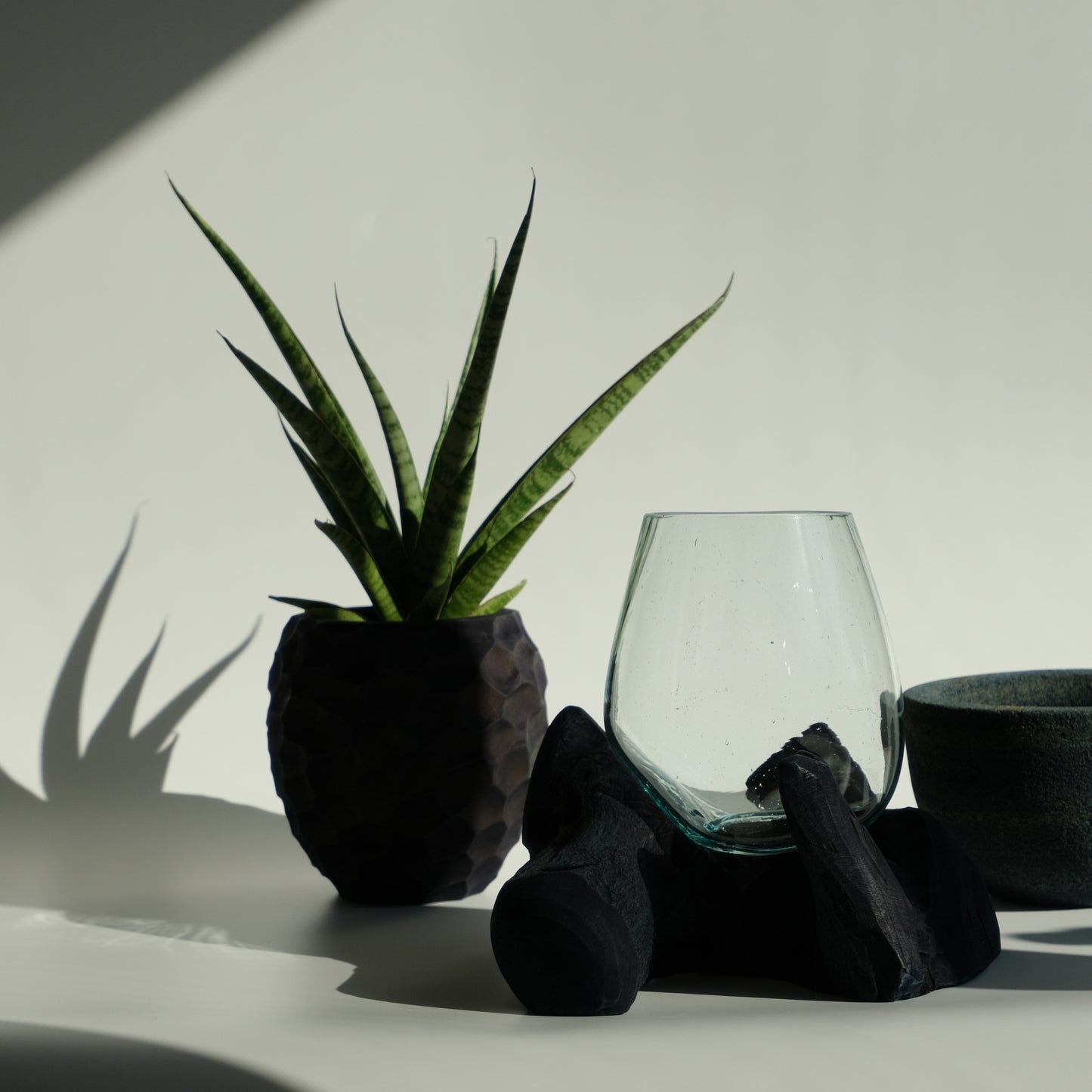 Indigo-dyed driftwood and terrarium (glass bowl)