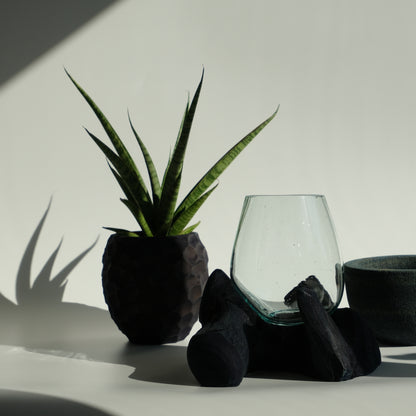 Indigo-dyed driftwood and terrarium (glass bowl)