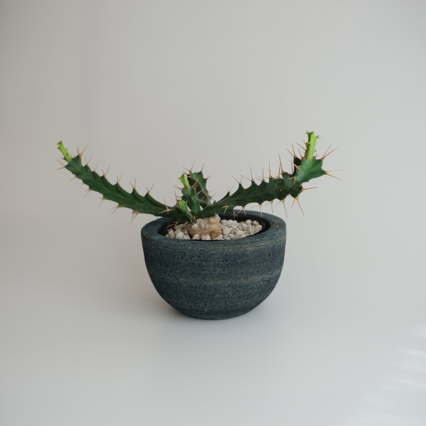 藍染石鉢