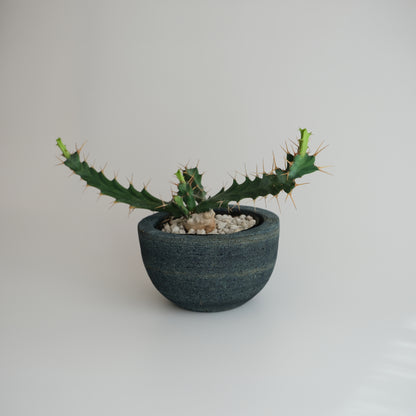 藍染石鉢